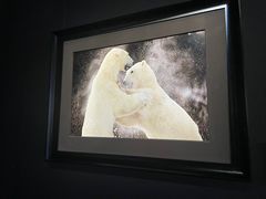 -罗红摄影艺术馆