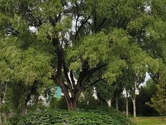 -东坝千亩湖公园