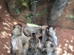 -南昌融创海世界