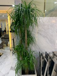 -3AM HAIR SALON染发接发