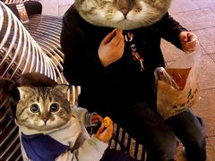 -鬼酥肉(熙街店)