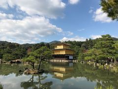 -豆政(金閣寺境内売店)