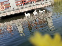 -西安汉城湖景区