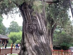 -黄帝陵