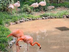 -昆明动物园