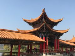 景点-洛龙公园