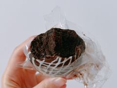 -白玉兰食品(中山公园龙之梦店)