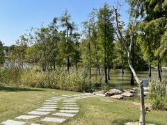 -上海长兴岛郊野公园