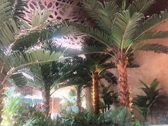 -杭州开元森泊度假乐园