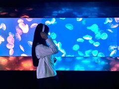 -成都浩海立方海洋公园