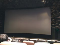 -武商摩尔影城(国广IMAX激光店)