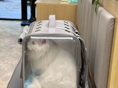 -美联众合动物医院·24h转诊中心