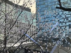 -银座mall(东直门店)