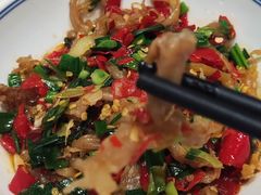 鸭掌筋-壹盏灯(蚂蚁工房店)