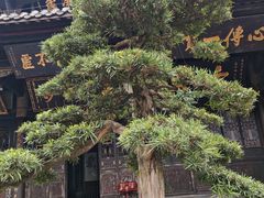 -宝光寺