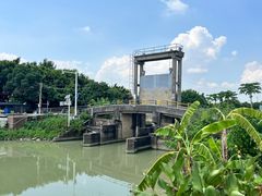 -海鸥岛河景湖大排档