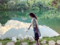 -蝴蝶泉公园
