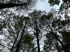 -重庆彩云湖湿地公园