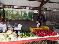 -西安市长乐公园