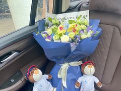-北京晨德宝宝马4S店(金港汽车公园店)