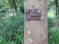 -广西壮族自治区药用植物园