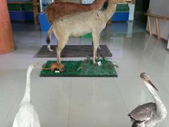 -湖南东洞庭湖国家级自然保护区