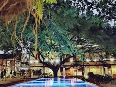 -喜洲吧·江畔老船厂·庭院餐厅(喜临院店)