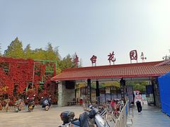 -丰台花园