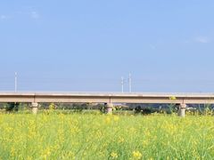 -光明小镇欢乐田园
