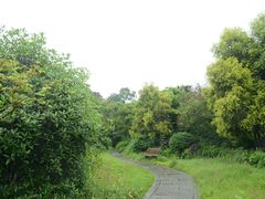 -张坝桂圆林公园