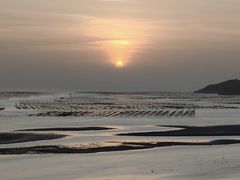 -北岐滩涂
