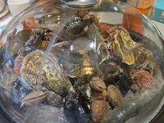 -大锅强·蒸海鲜青岛菜(吾悦广场店)