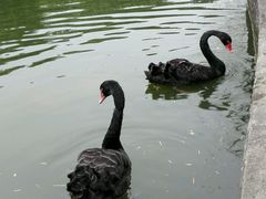 android_upload_pic-东莞市可园博物馆