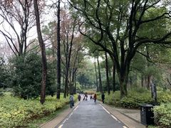 -东湖磨山景区
