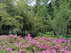 -常州古运河南大街文化旅游区-人民公园