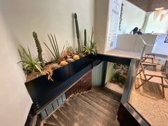 -J Create城市露营咖啡·简餐·宠物(上海动物园店)