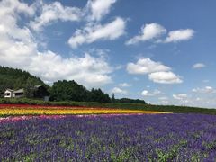 -富田农场