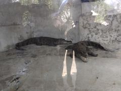 -昆明动物园