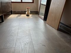 -心语宠物医院·急重症转诊中心·瑞辰华诺(南青路店)