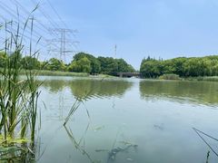 -九里河湿地公园