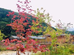 -参仙谷生态旅游度假区
