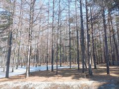 -长春净月潭风景名胜区