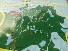 -火炉山森林公园