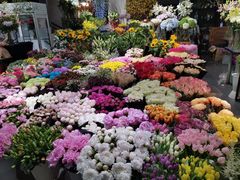-双季花艺园艺市场(浦东店)