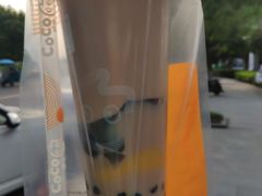 -CoCo都可(骆家庄新店)