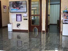 -宠爱国际动物医院· 猫科· 外科·中兽医(长白店)