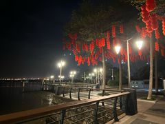 -深圳湾公园(南山区)