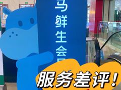 -盒马鲜生(大成店)