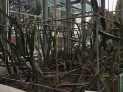 -上海多利农业发展有限公司