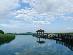 -苏州太湖湖滨国家湿地公园